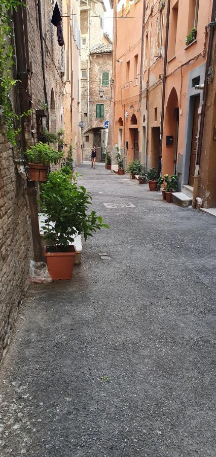 B&B Serena Perugia Exteriör bild